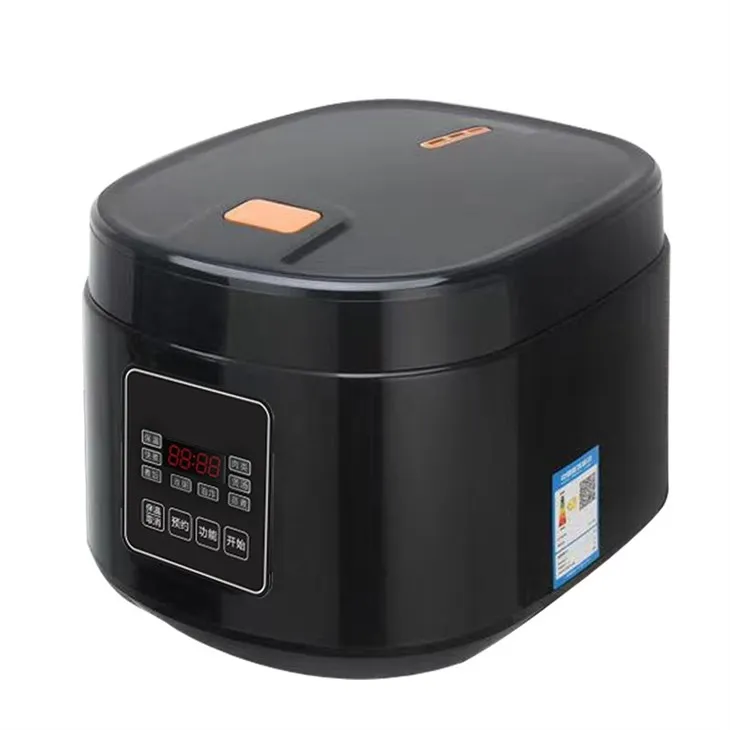 mini rice cooker (2)